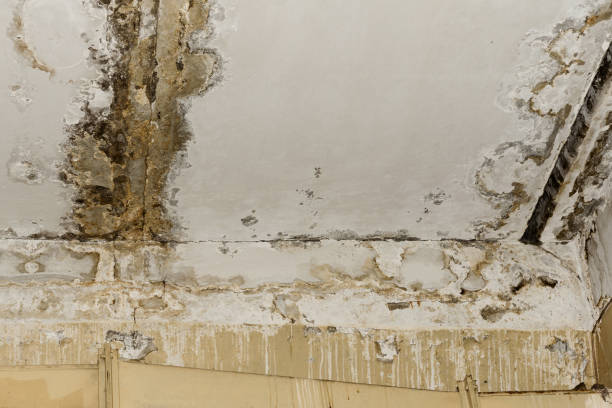 Best Water damage restoration insurance claims  in South Dennis, MA